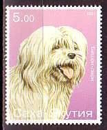 Havanese stamp