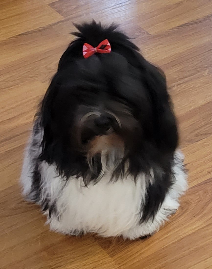 Lacee with red bow