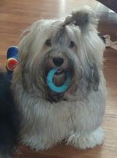 Wilson with teething ring