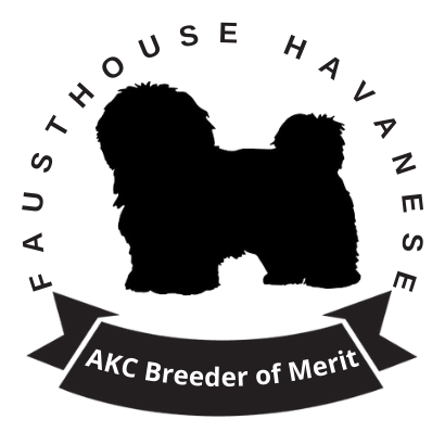 FaustHouse Havanese Logo