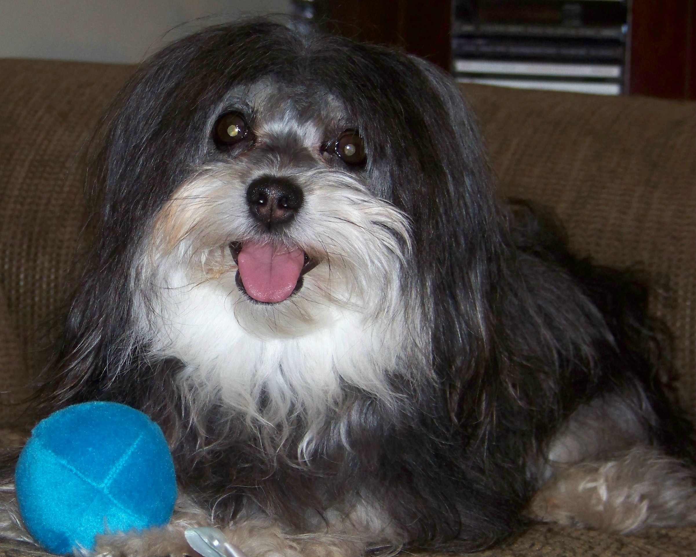 Molly with ball