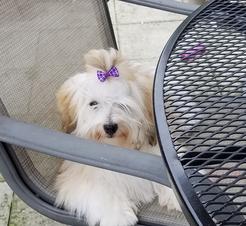 Hailey peeking through the garden chair