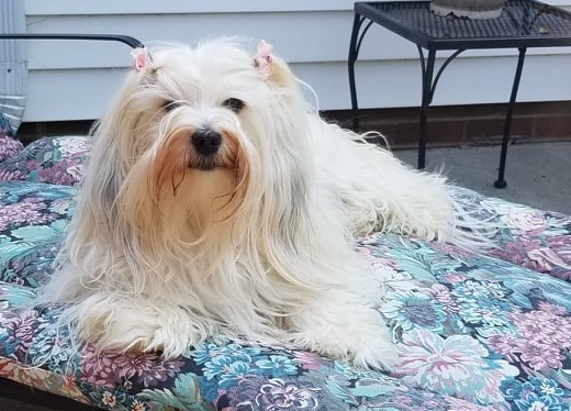 Hailey in the Chaise lounger