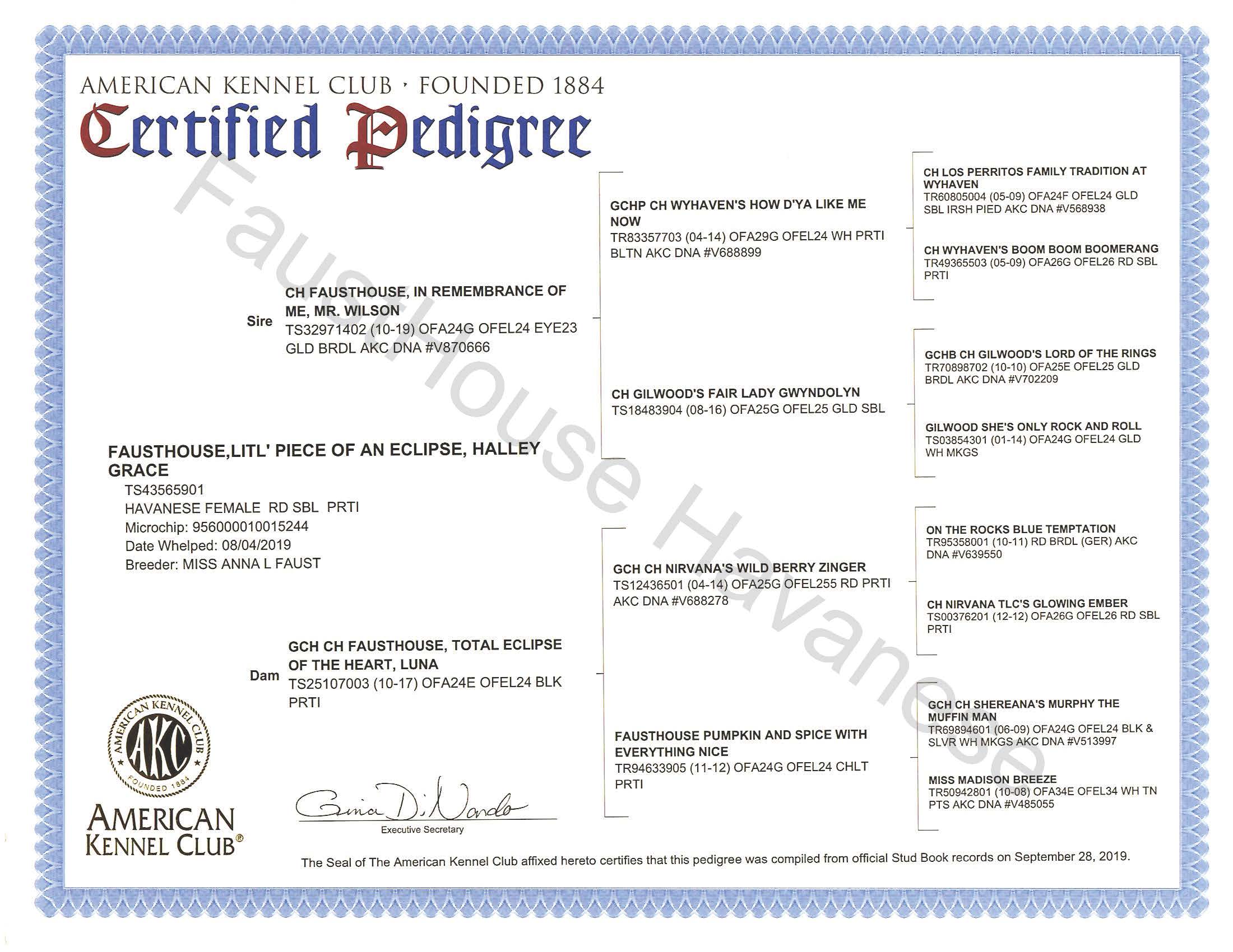 Wilson's AKC Pedigree