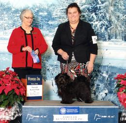 Max Winston Salem Dog Show, Winner's Dog, 4 points