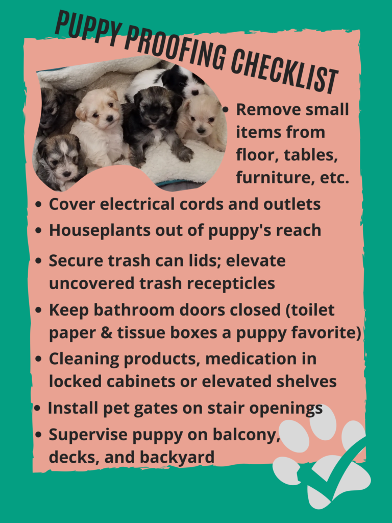 Preparing for Your Puppy - FaustHouse Havanese
