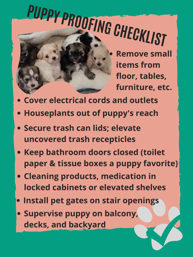 Puppy Proofing Your House: A Checklist to Keep Your Home (and Your Pup)  Safe - North States