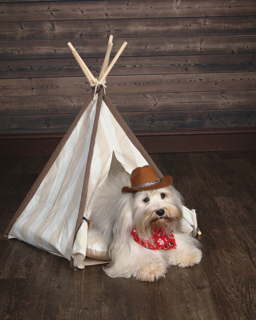 Wilson Professional Photo Cowboy with Tepee