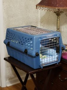 Crate by bedside