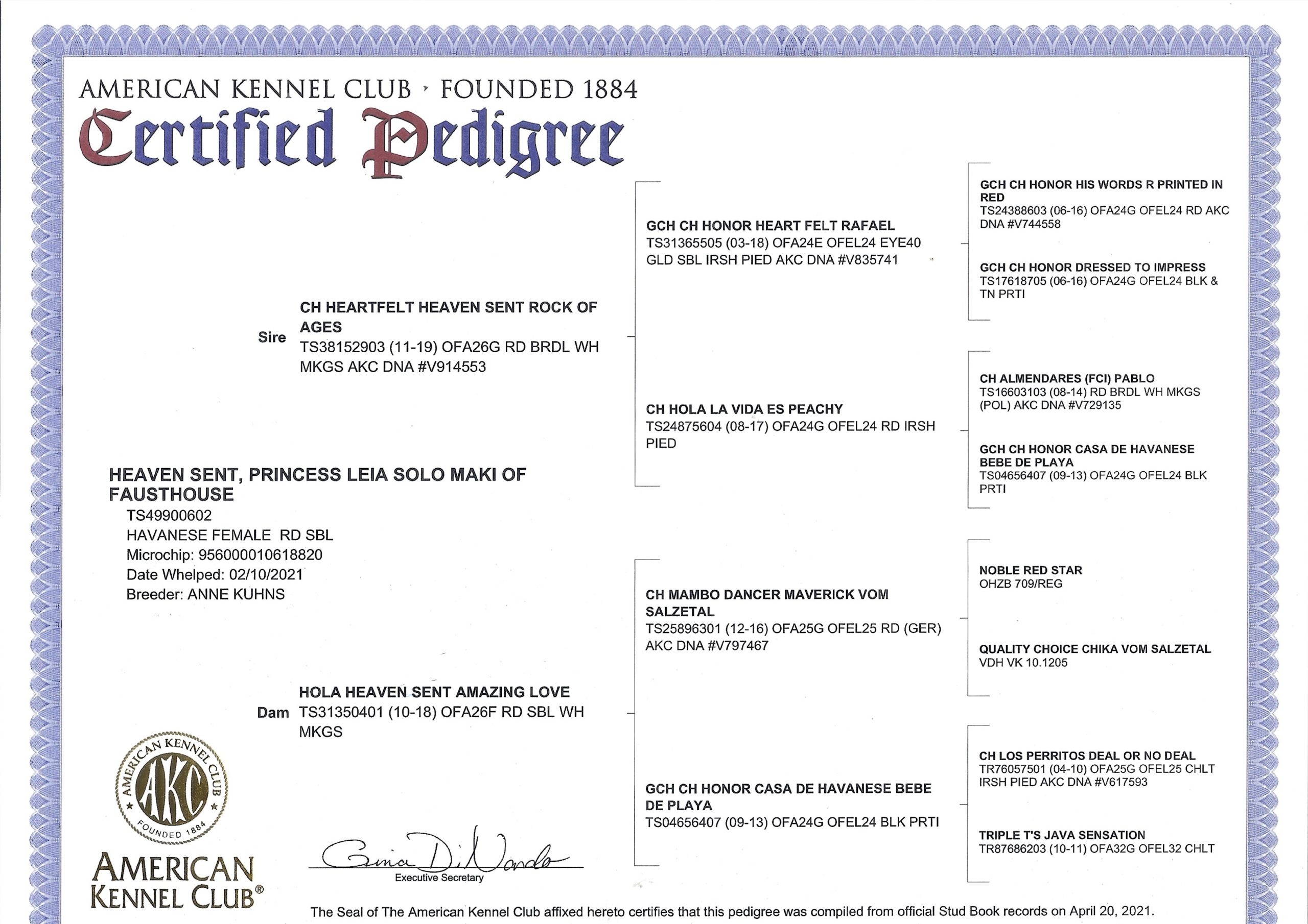 Leia's AKC Pedigree