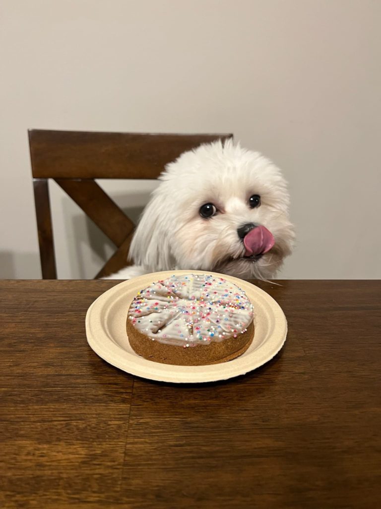 First Birthday