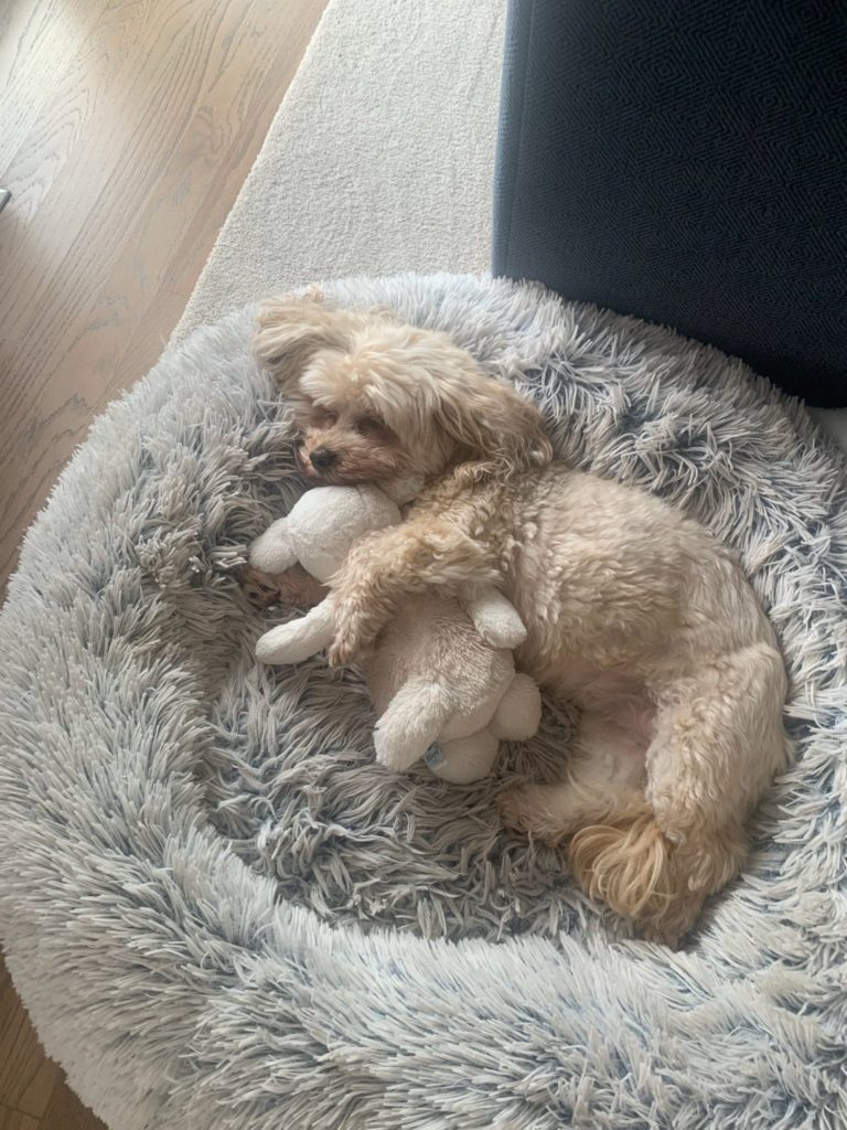 Winnie with stuffed baby