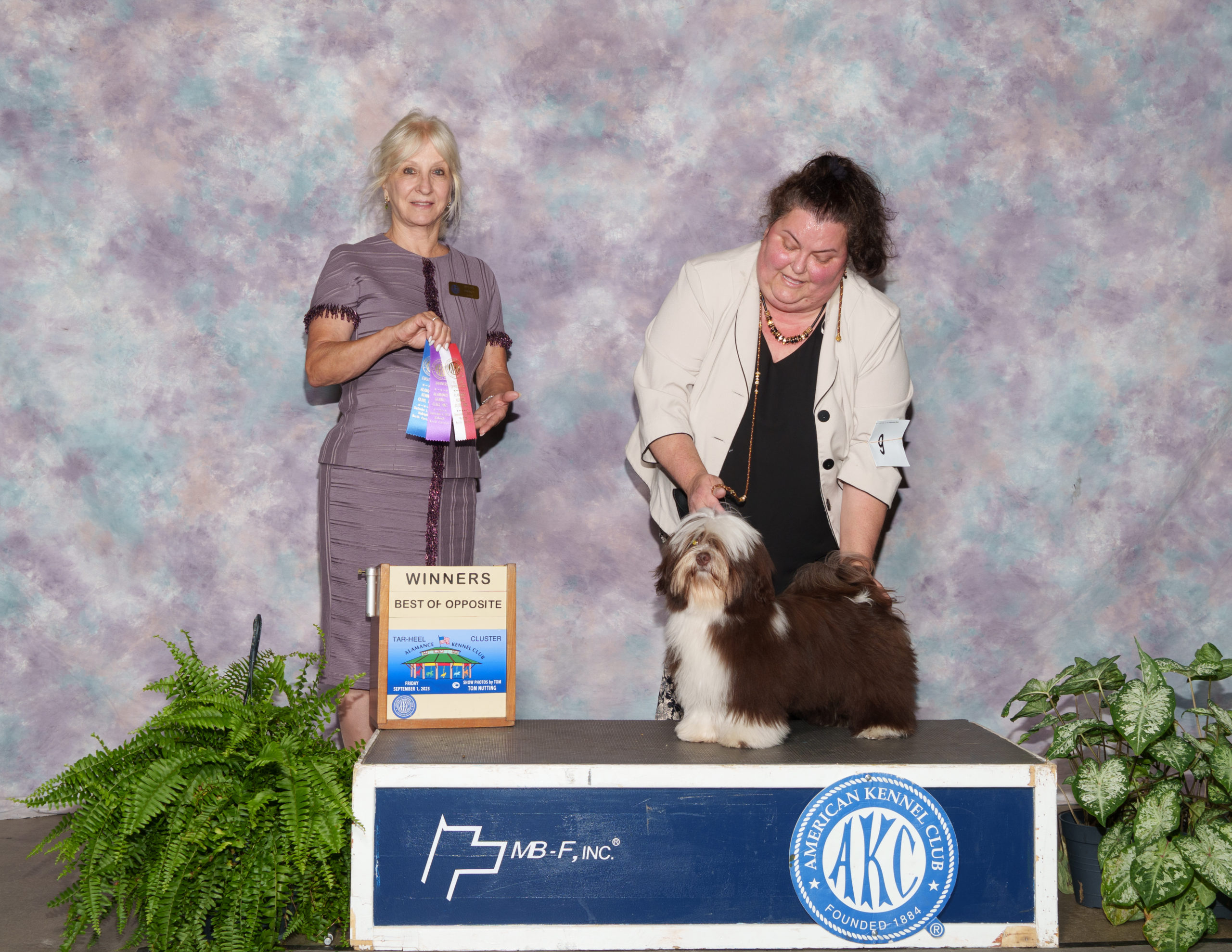 Hayden Alamance Kennel Club