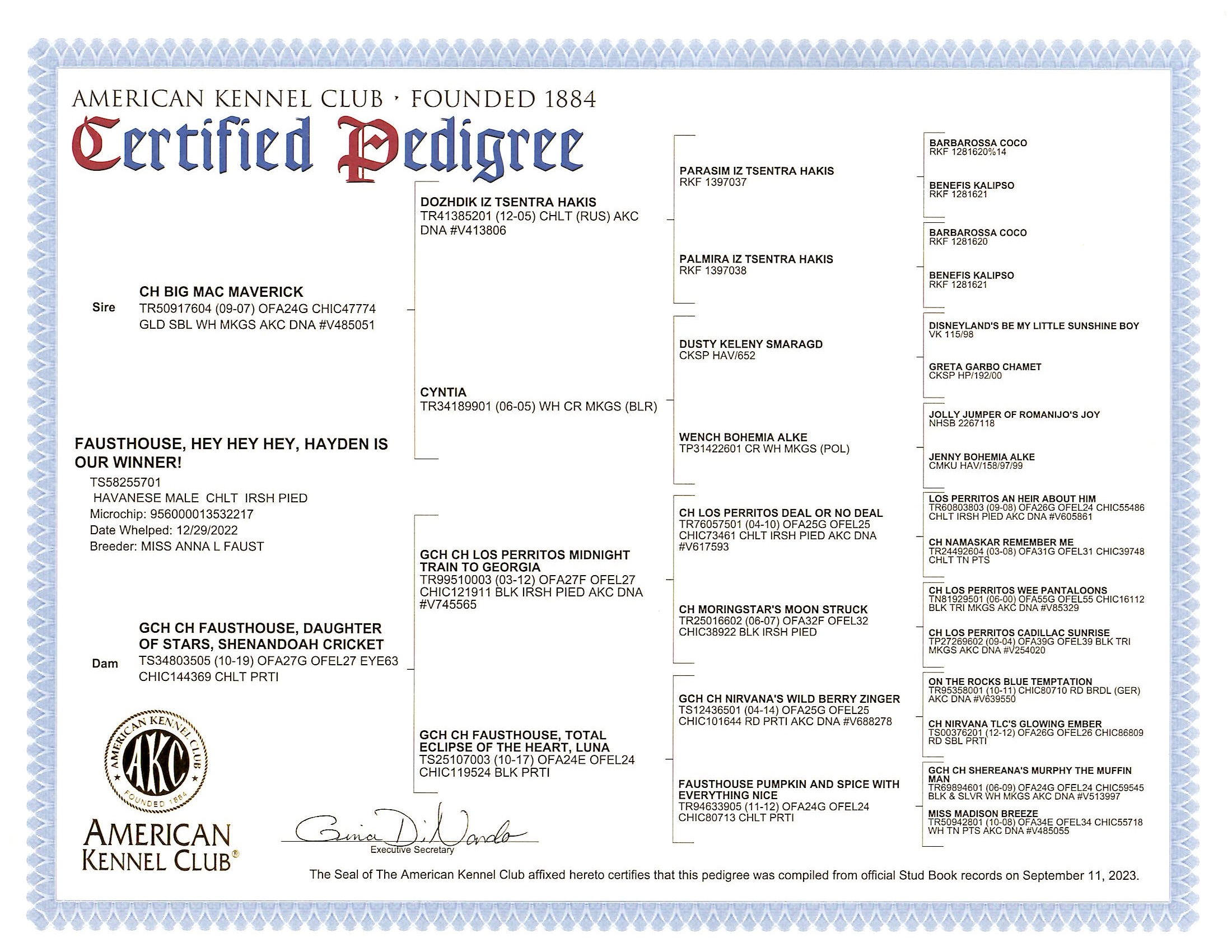 Wilson's AKC Pedigree