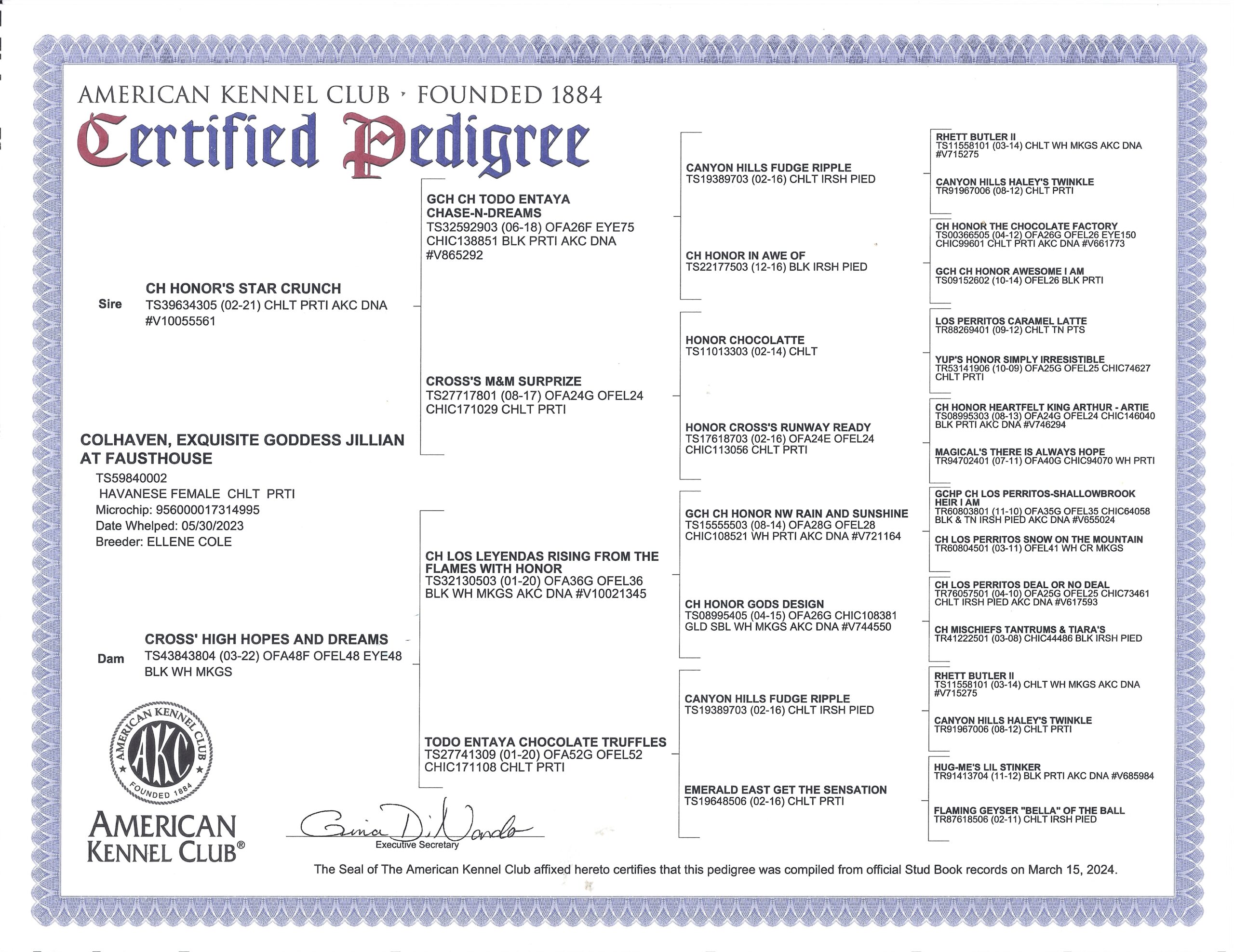 Jilly's Pedigree