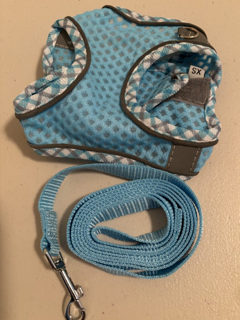 Aqua Harness