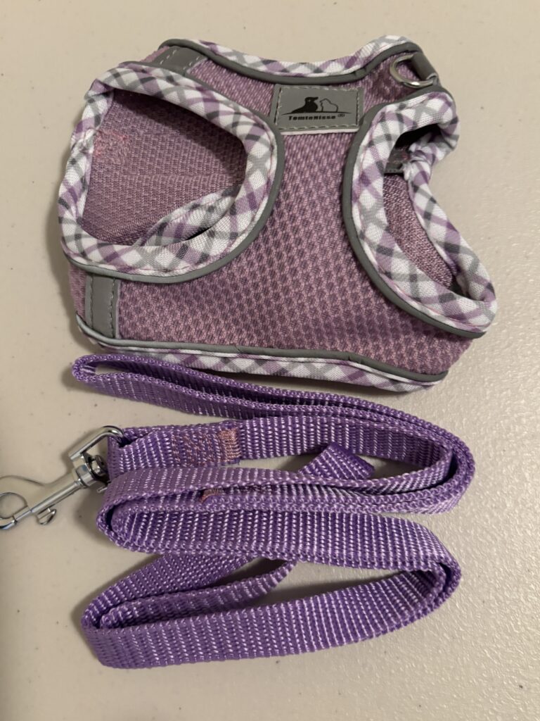 Purple Harness
