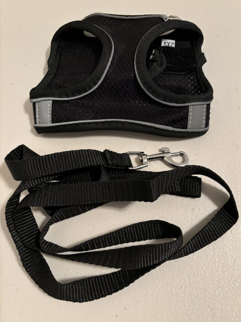 Black Harness