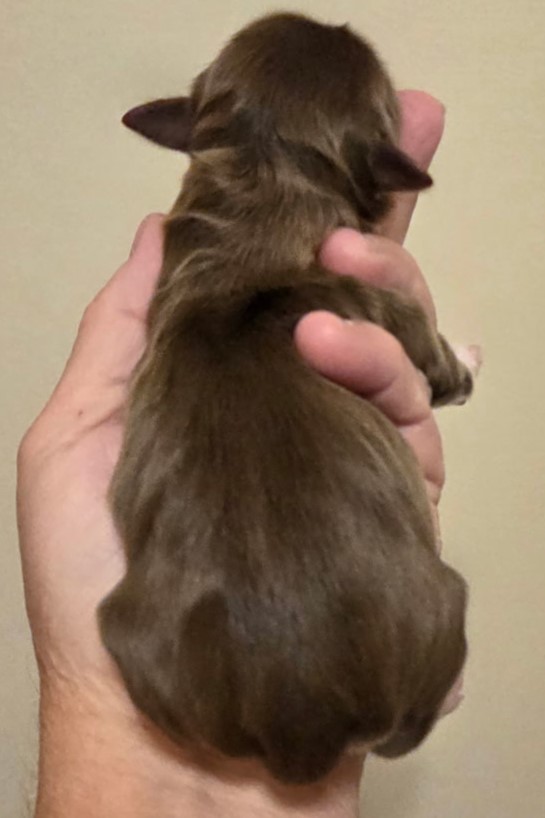 Evie's Girl Day 1