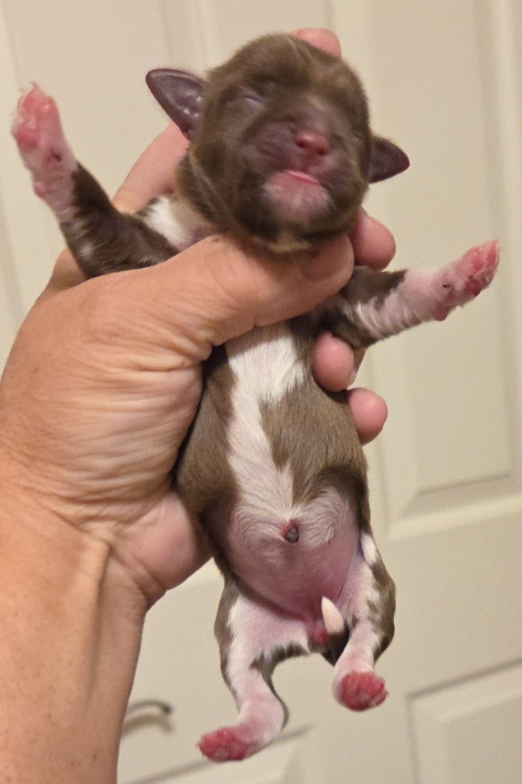 Evie's Girl Day 1
