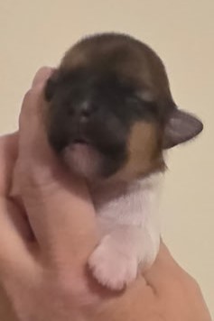 Ellie's Dottie Day 2