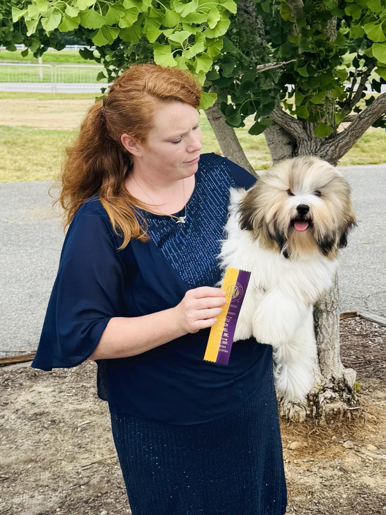 Phoenix New Grand Champion