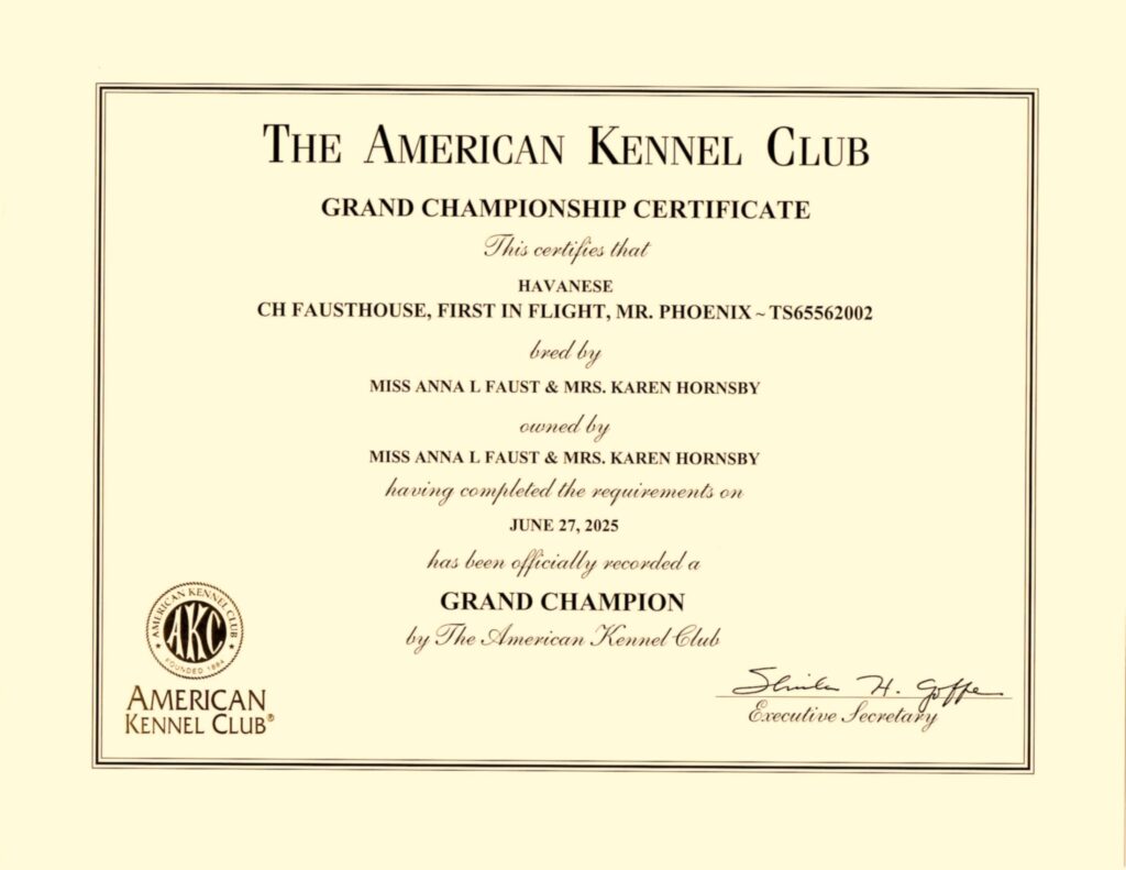 Phoenix Grand Champion Certificate