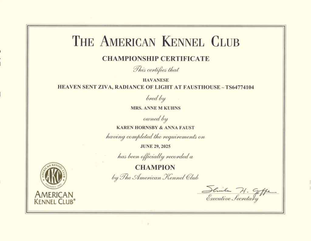 Ziva Champion Certificate