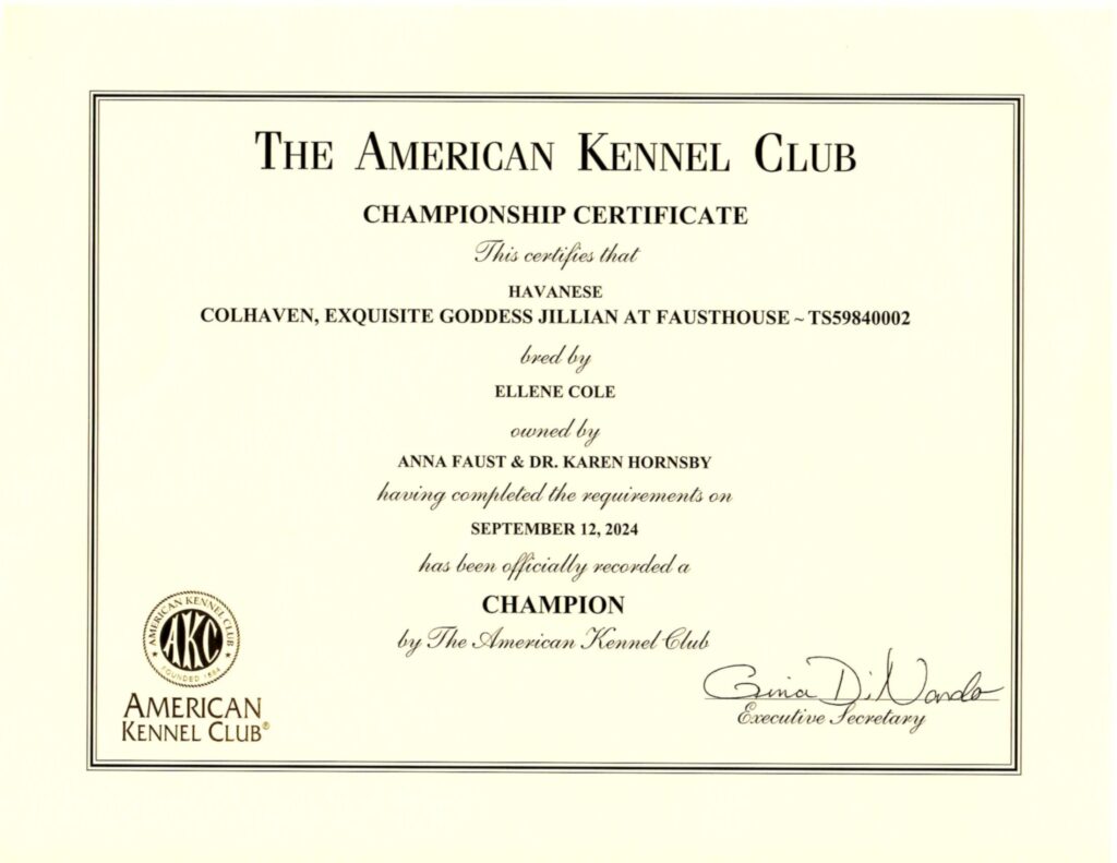 Jillie AKC Championship Certificate