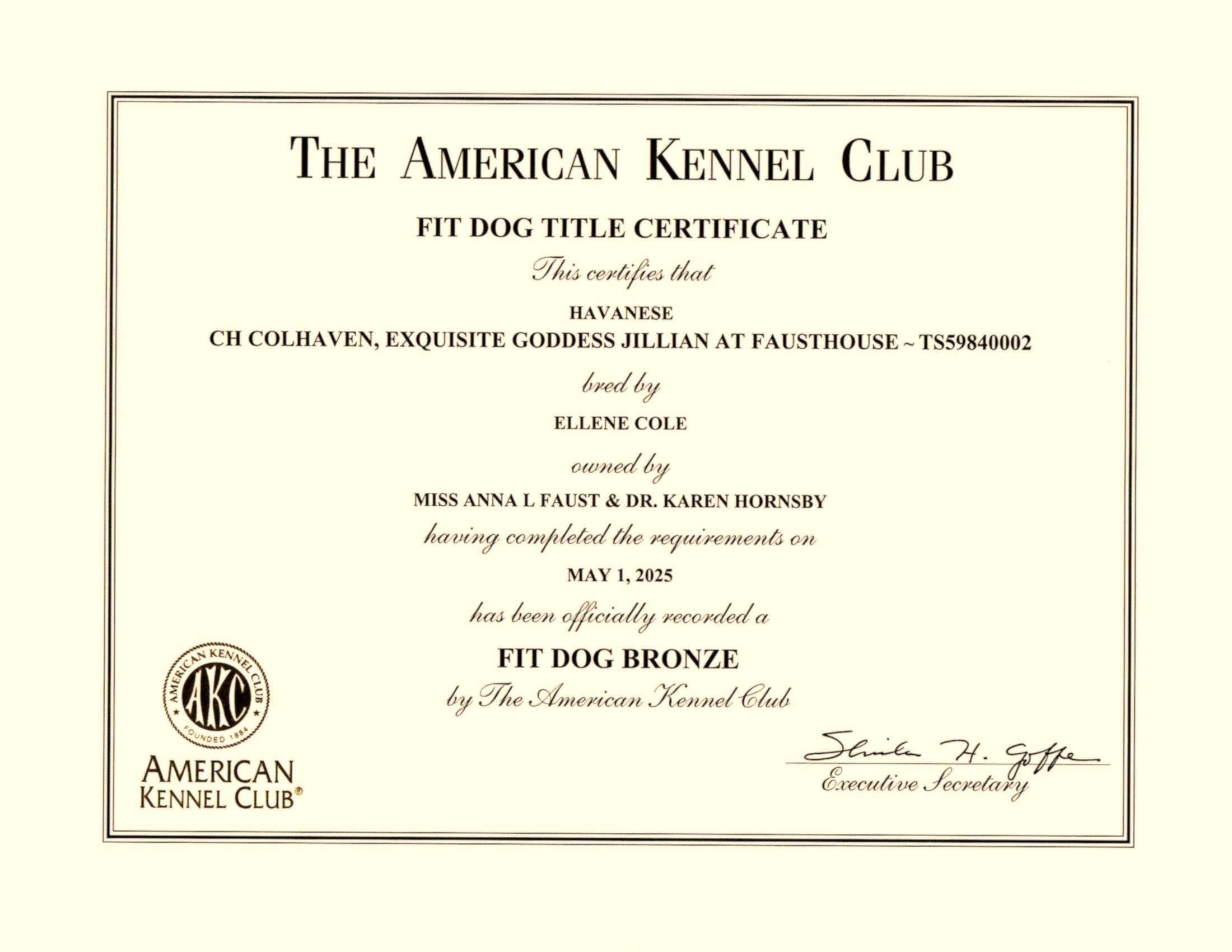 Jillie's Fit Dog Bronze Certificate