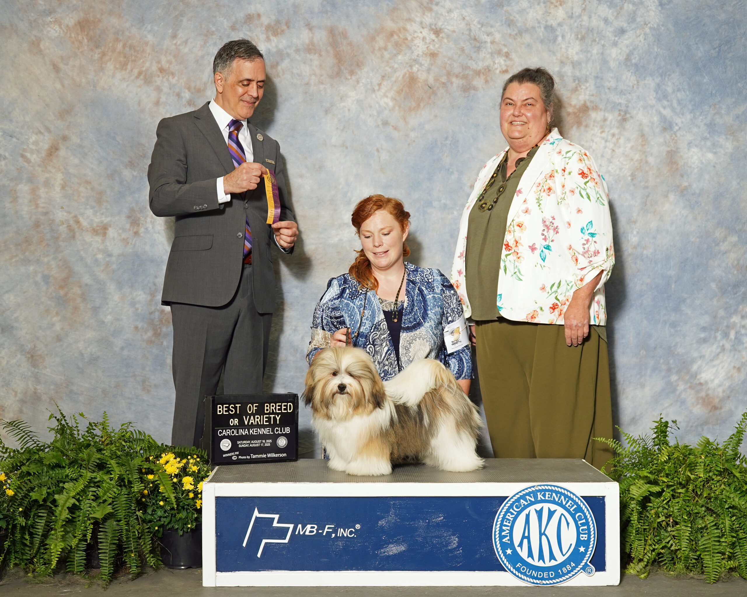 Phoenix Best of Breed, Greensboro, NC 8-17-25