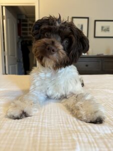 Winnie Rainsford formerly Tootsie