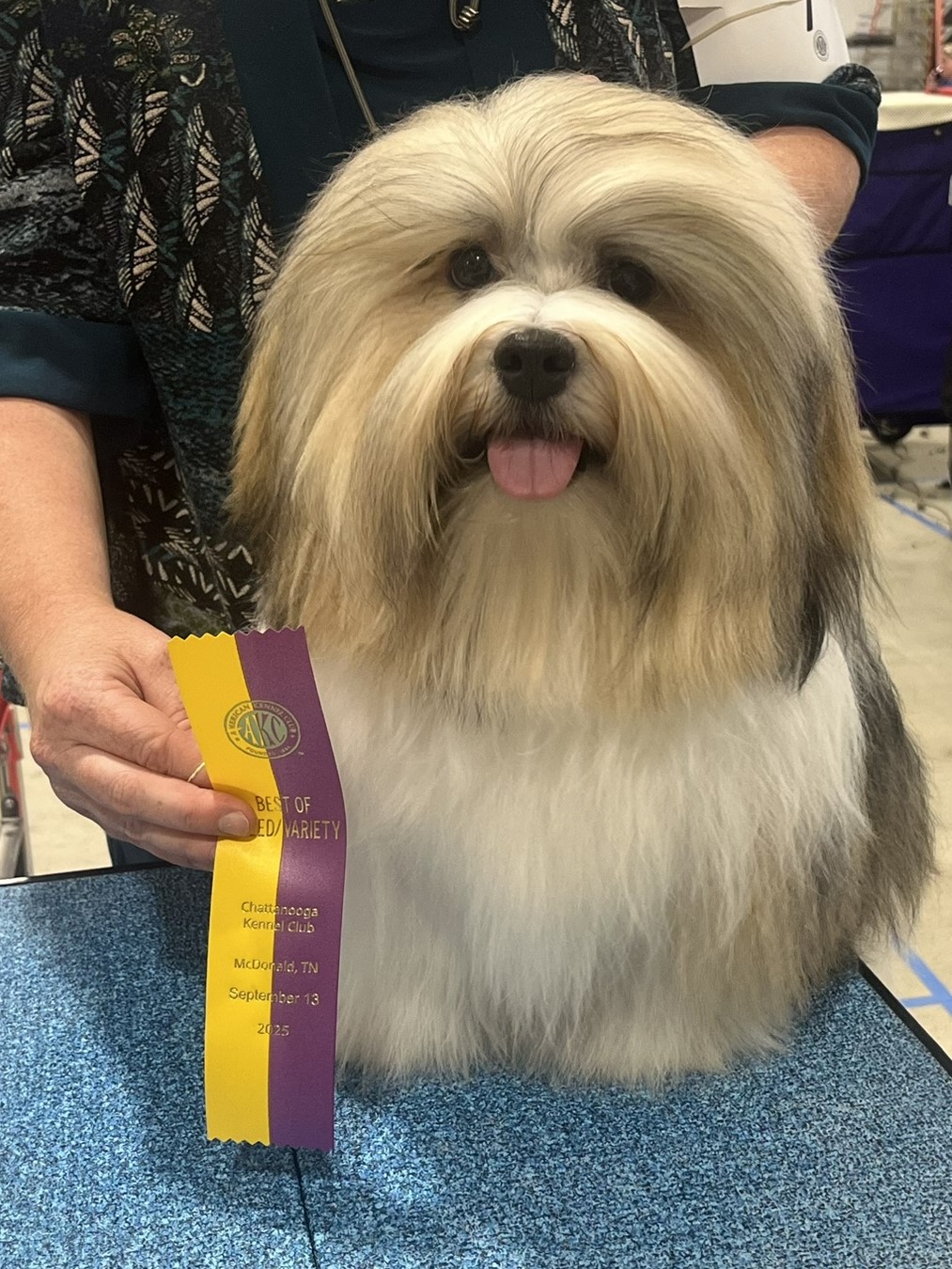 Phoenix Best of Breed, McDonald, TN 9-13-25