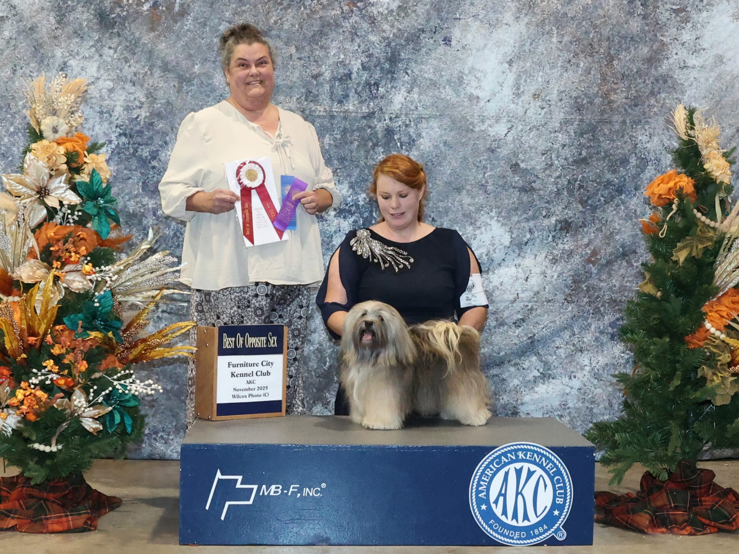 Ellie Furniture City, Winston Salem, November 9, 2025