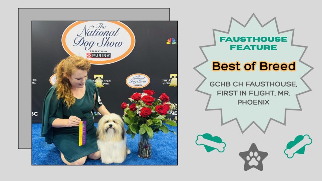 Phoenix Feature 11/17/2025