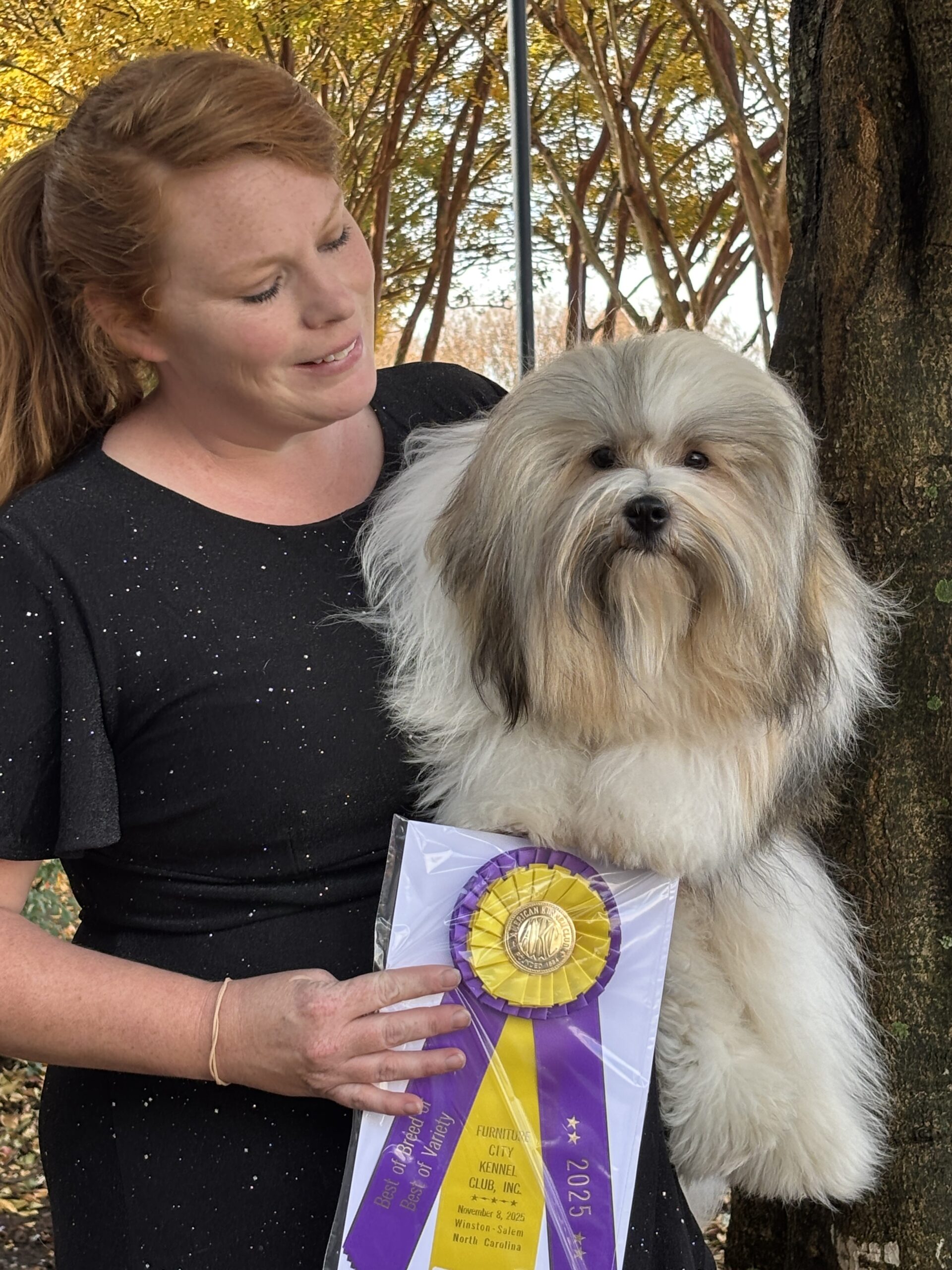 Phones BOB Furniture City 2025