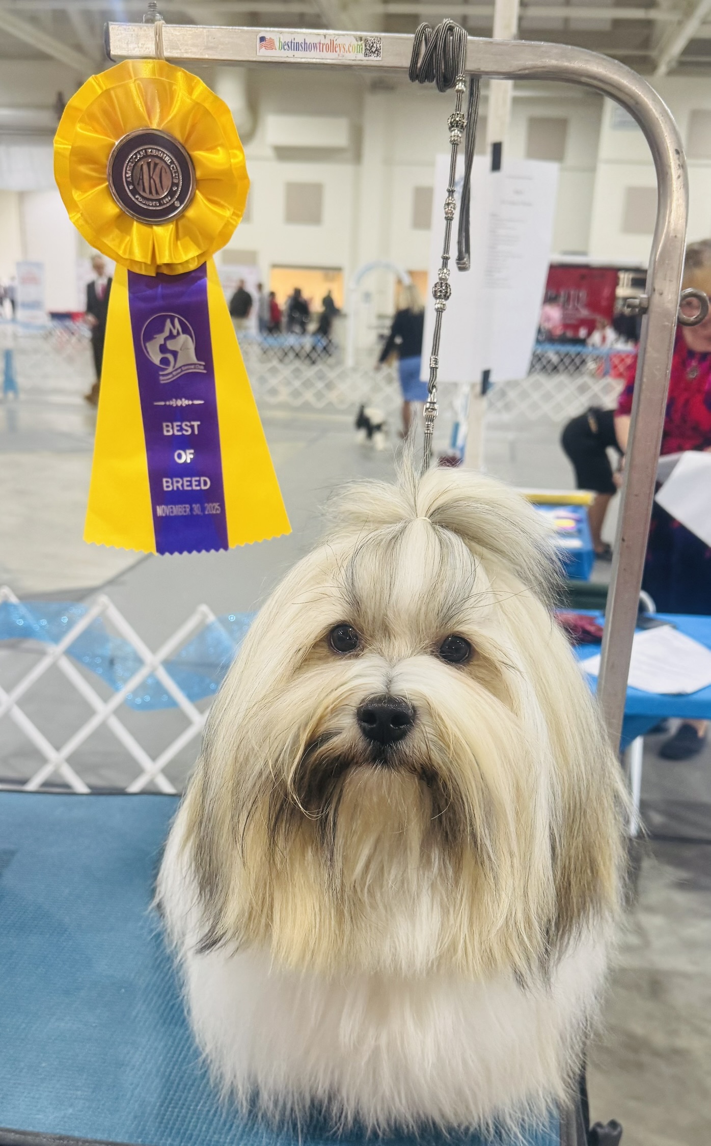 Phoenix Best of Breed, Perry, GA, 11-30-25