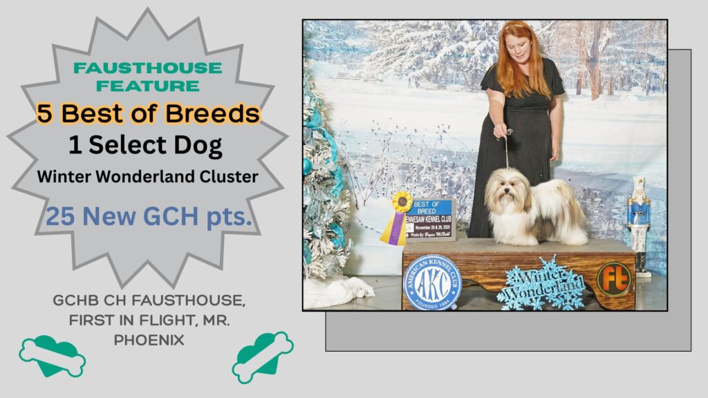 Winter Wonderland Phoenix