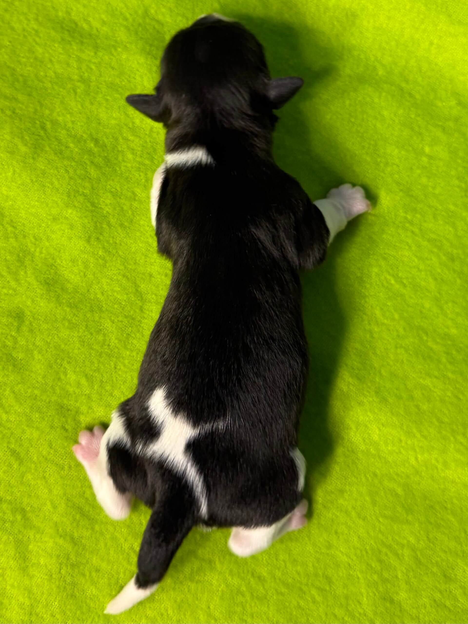 Glory's Andy Warhol Day 1