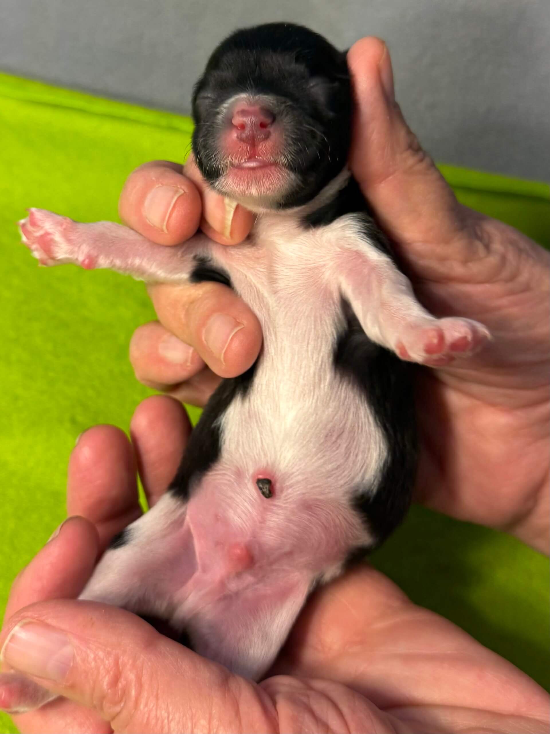 Glory's Andy Warhol Day 1