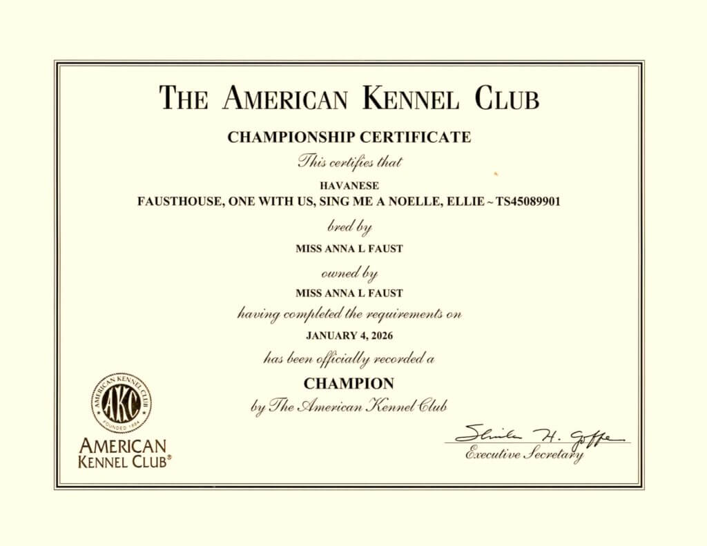 Ellie AKC Championship Certificate