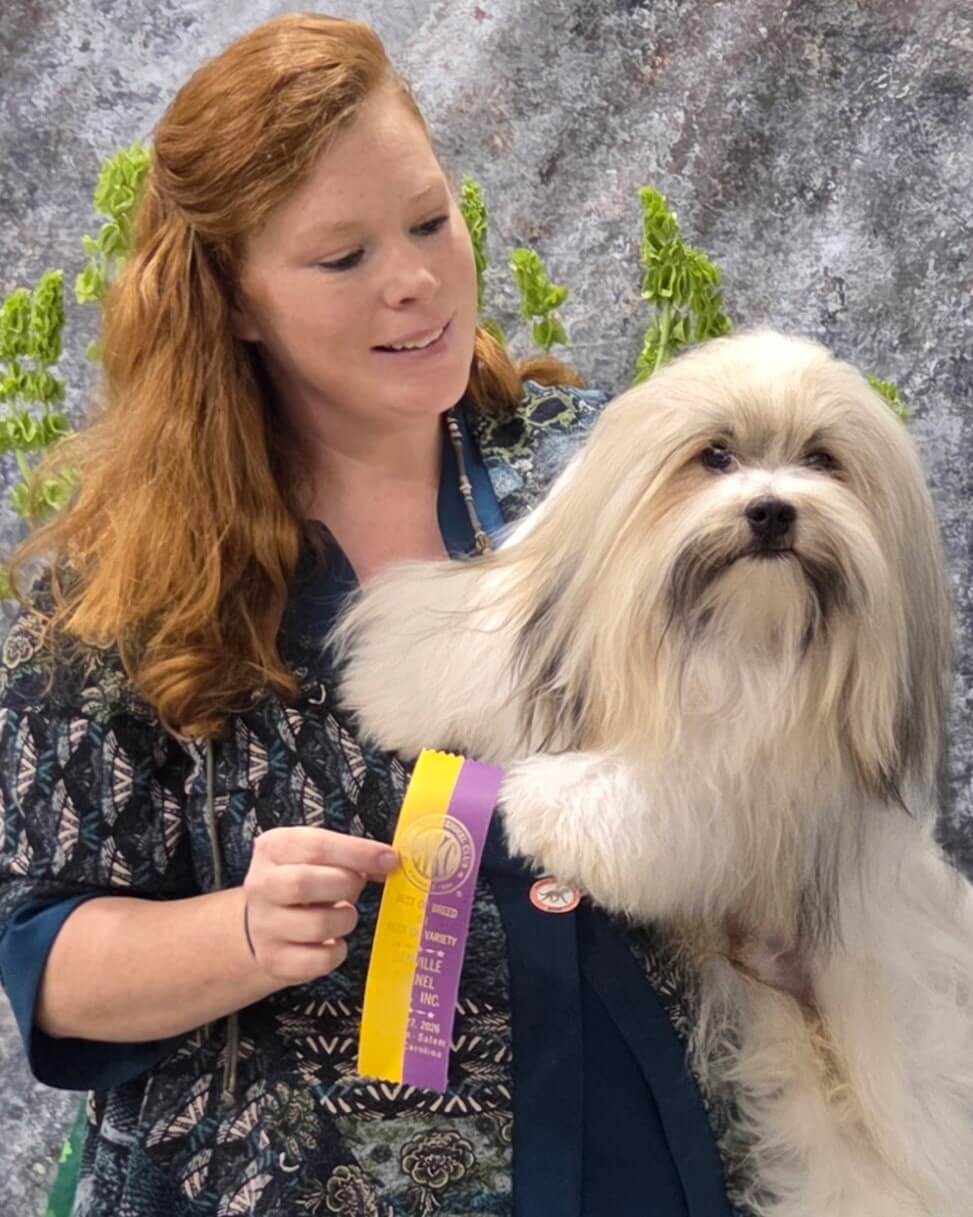 Best of Breed, Danville Kennel Club, 2/27/26