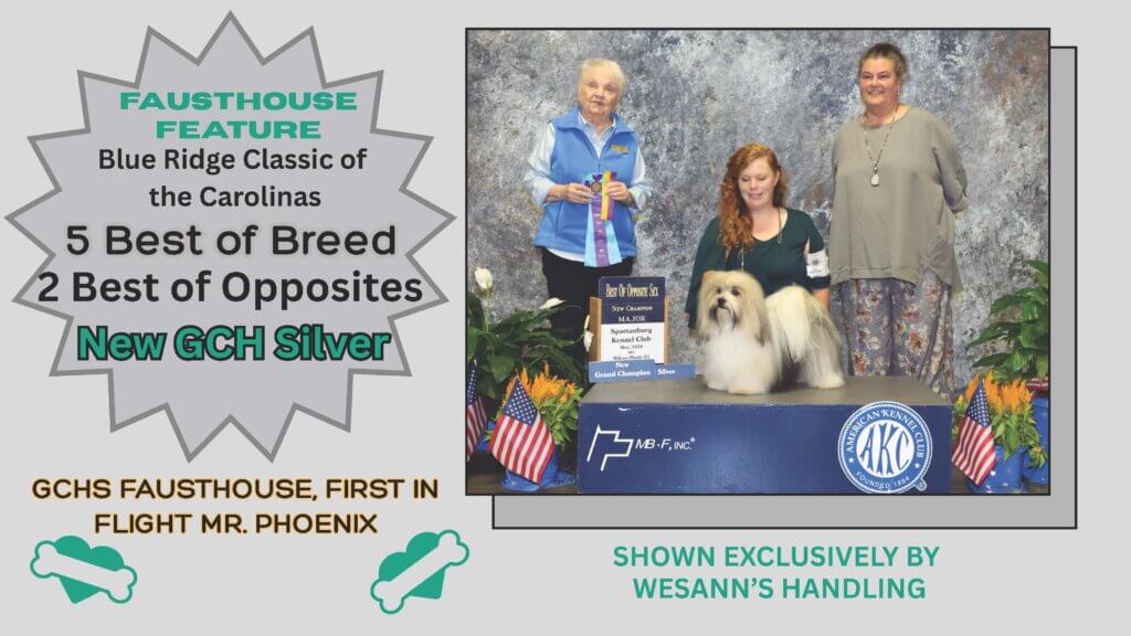 FaustHouse Feature GCHS Phoenix