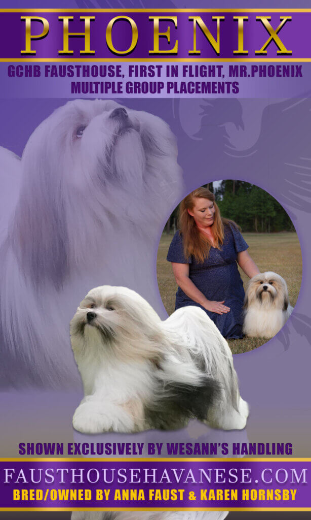 Phoenix National Ad