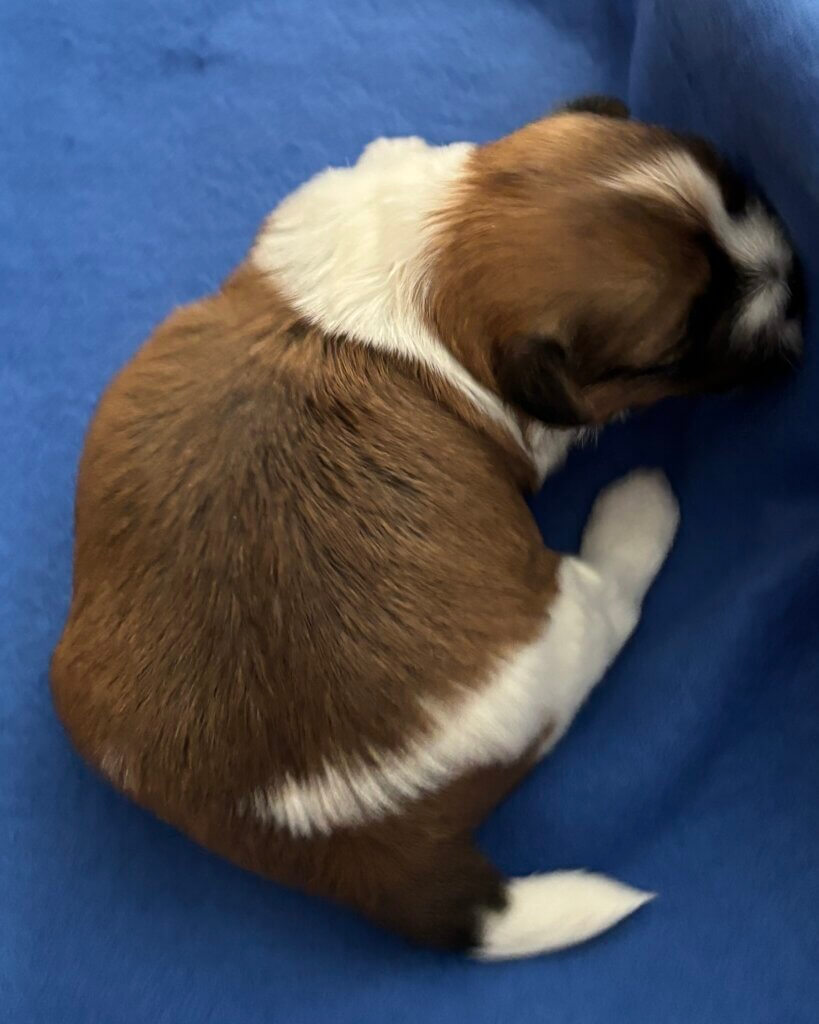 Skye Week 3