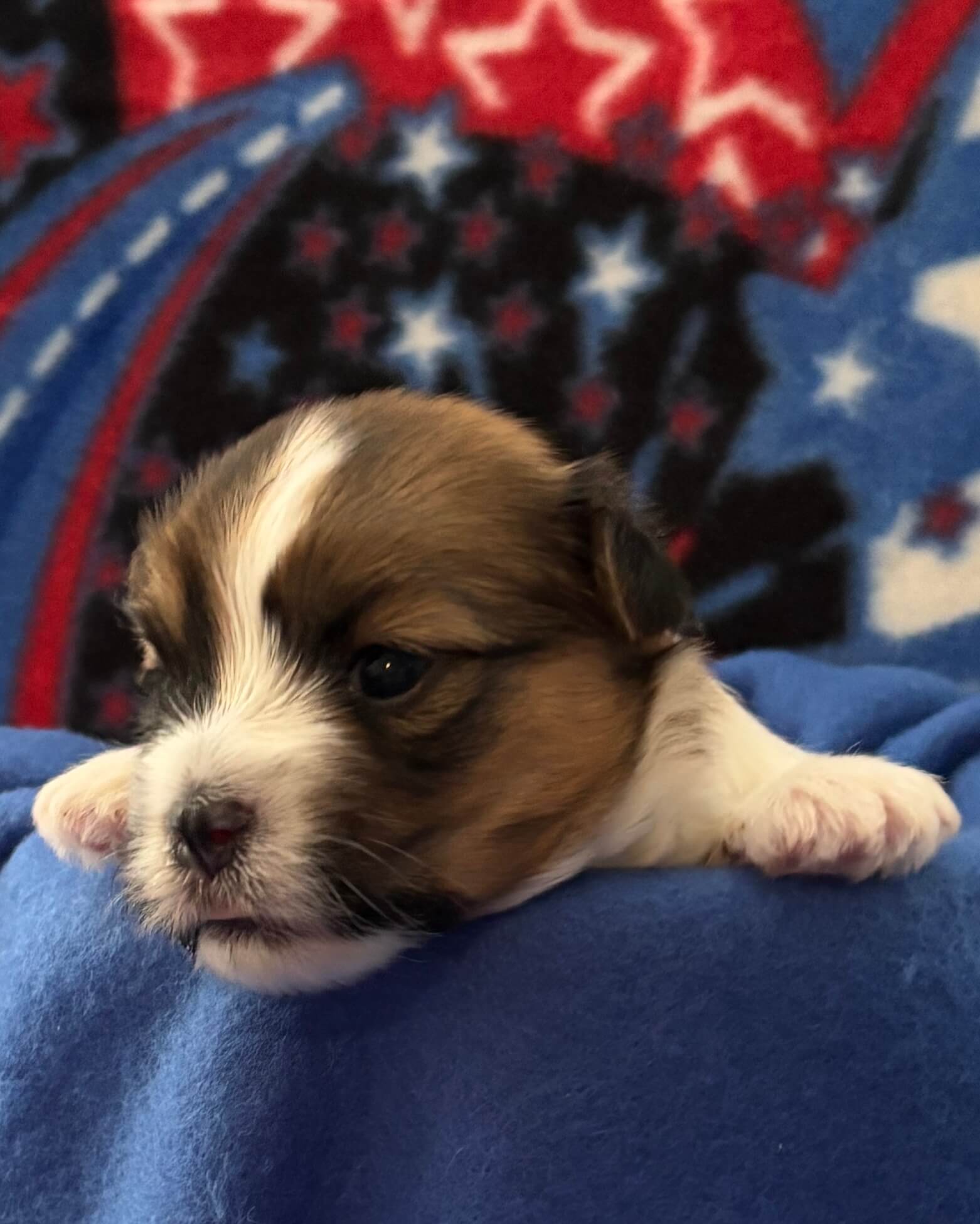 Skye Week 3