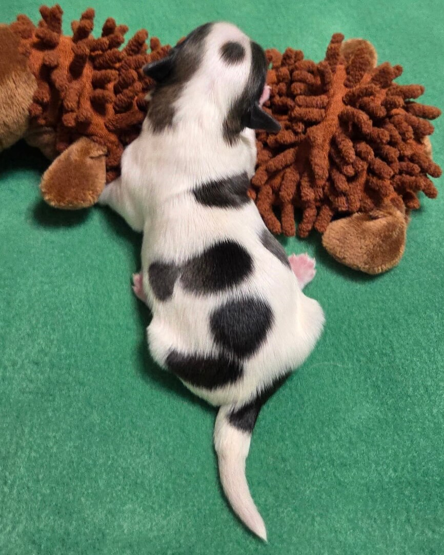 Glory's Bullseye Day 1