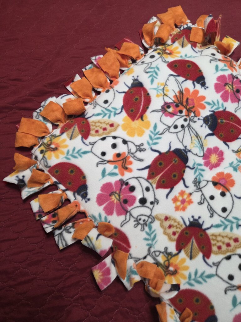 Lady Bugs with Orange backing